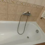 Trendy 2 Flat Near Corvin Mall With Garage *