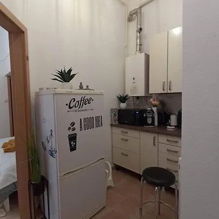 Trendy 2 Room Flat Near Corvin Mall Garage Ac Dishwasher Apartamento